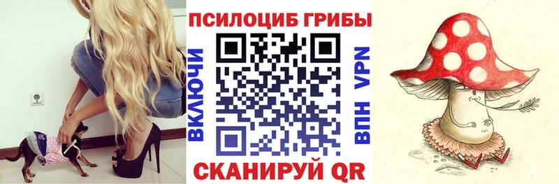 Купить  Абинск  Псилоцибиновые грибы ЛСД 